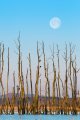 mit Mond mit Mond