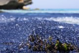 ...in himmelblau am Strand von Mallorca.