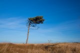 am Darßer Weststrand