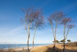 am Darßer Weststrand am Darßer Weststrand