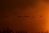 bei Sonnenaufgang bei Sonnenaufgang