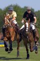 Pinnower Poloturnier 2008